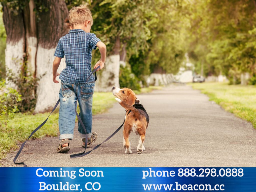 Child walking beagle down tree-lined path