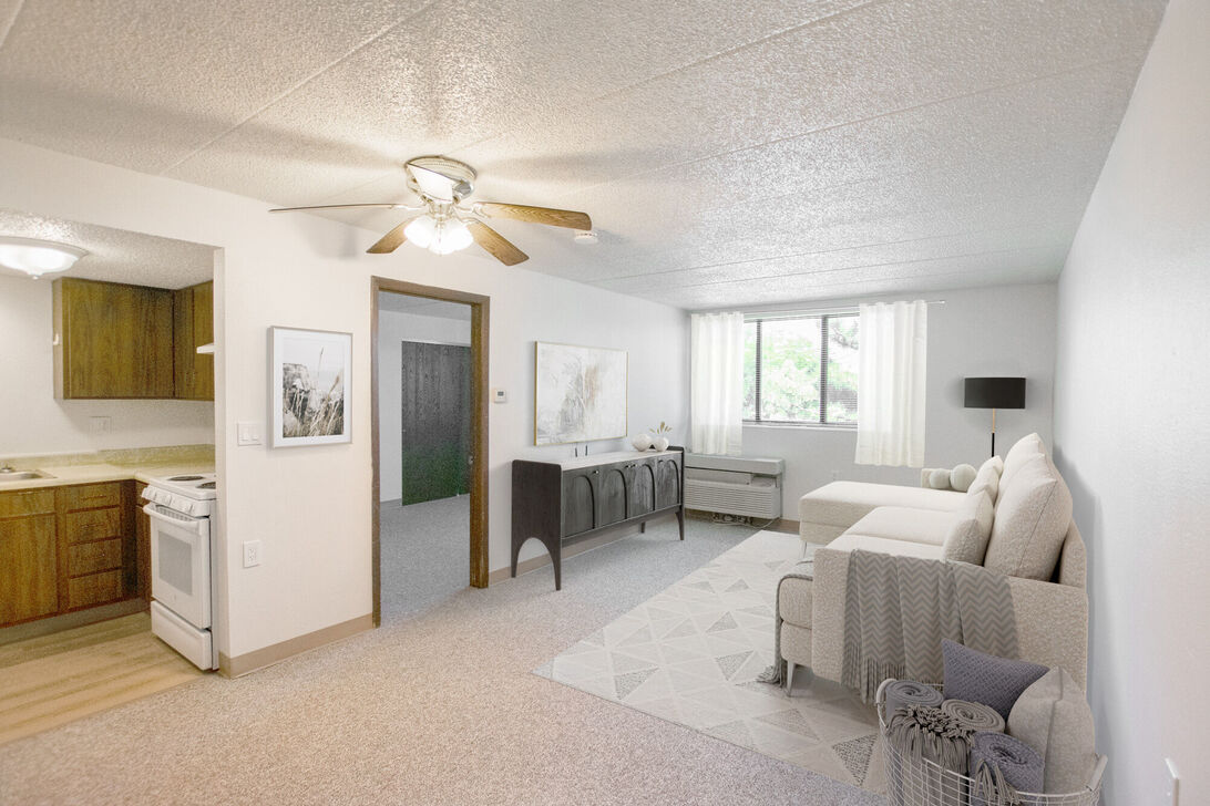 Open living room with kitchenette and sofa
