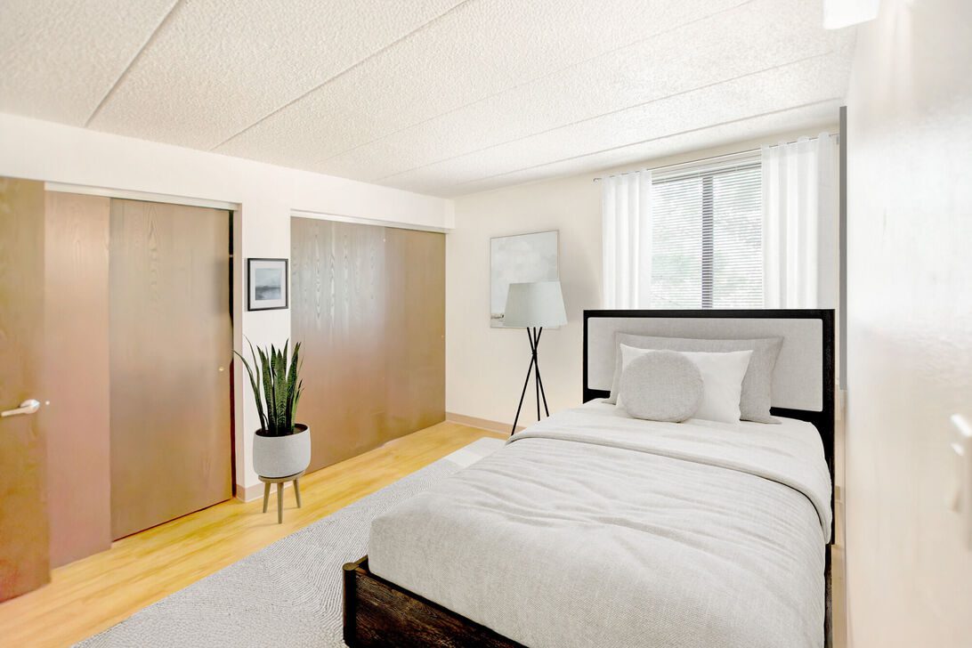 Minimalist bedroom with single bed and plant